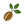 بذر