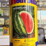 بذر هندوانه یونی ژن