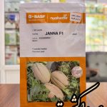 بذر ملون جانا نانهمز