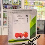 بذر گوجه فرنگی برنتا