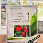 بذر گوجه فرنگی ردجیدا