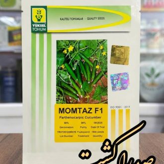 بذرخیارسبز ممتاز