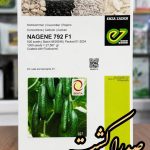 بذر خیارسبز ناگین