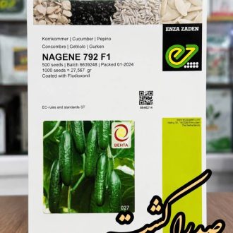 بذر خیارسبز ناگین